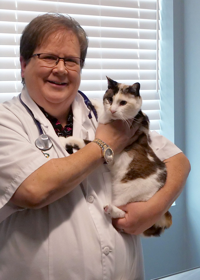 Dr. Alison Kinnunen, DVM Doctor of Veterinary Medicine at Shiloh Veterinary Clinic in Illinois