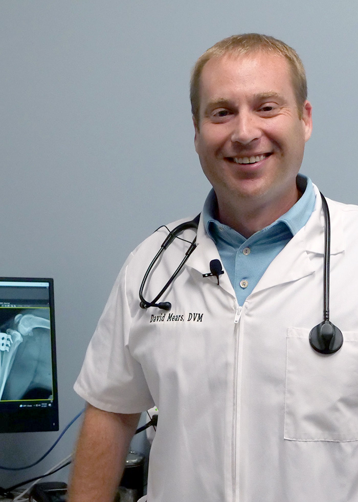 Dr. David Mears, DVM Doctor of Veterinary Medicine at Shiloh Veterinary Clinic in Illinois