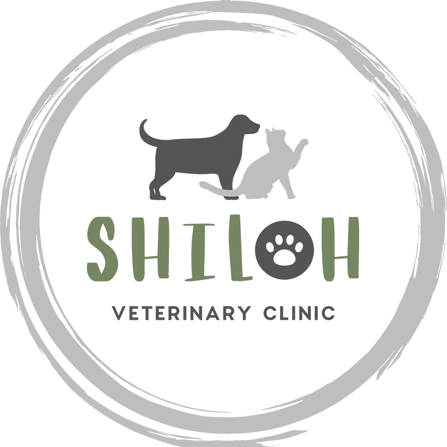 Home- Shiloh Veterinary Clinic in Shiloh IL