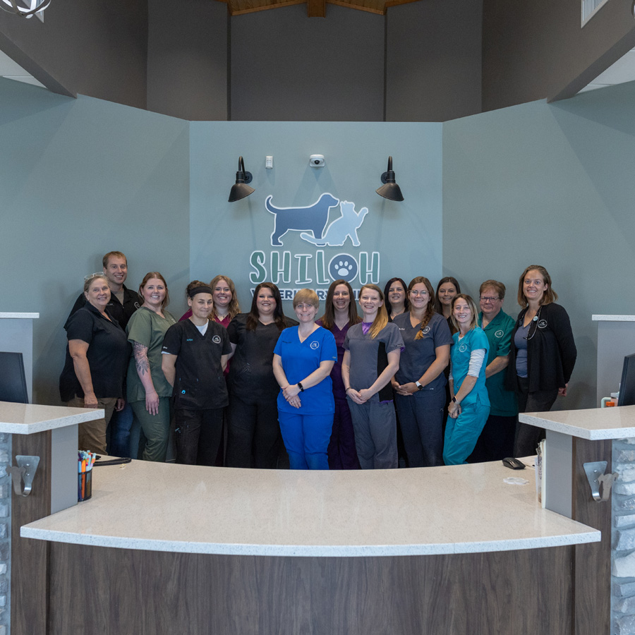 About- Shiloh Veterinary Clinic in Shiloh IL