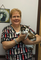 Dr. Alison Kinnunen, DVM Doctor of Veterinary Medicine at Shiloh Veterinary Clinic in Illinois