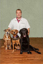 Dr. David Mears, DVM Doctor of Veterinary Medicine at Shiloh Veterinary Clinic in Illinois