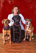 Dr. Julie Mears, DVM Doctor of Veterinary Medicine at Shiloh Veterinary Clinic in Shiloh Illinois