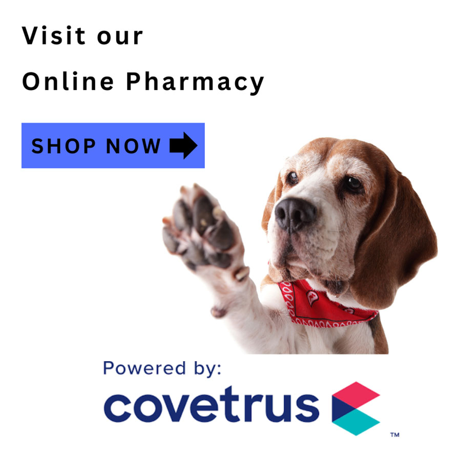 Shiloh Veterinary Clinic is Offering an Online Store for Convenient Ordering and Shipment of Supplies